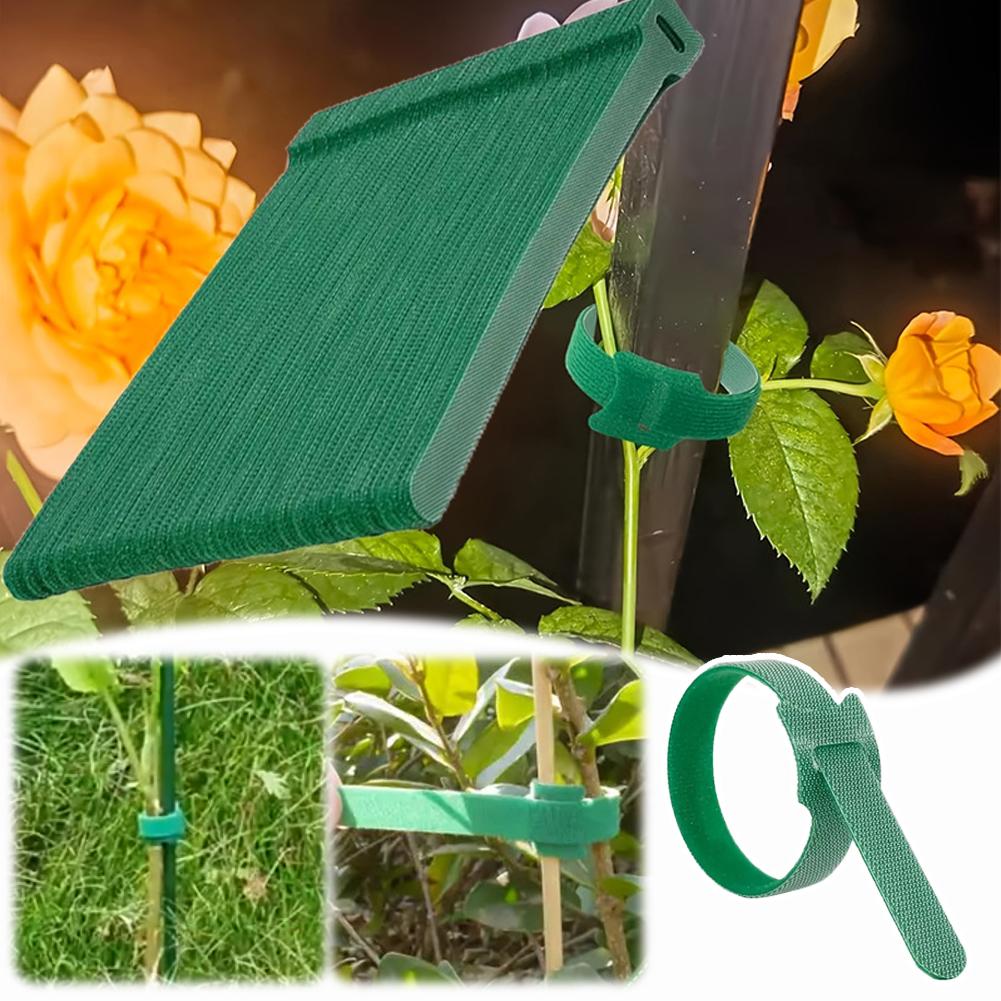 100 قطعة من روابط النباتات الق - مراجعة Velcro Hook Loop وسعره